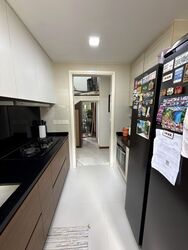 The Miltonia Residences (D27), Condominium #540251801